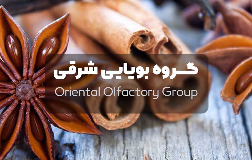 گروه بویایی شرقی - Oriental Olfactory Group | فروشگاه اینترنتی عطر تینو